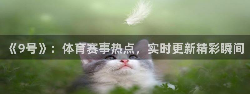 新闻图片