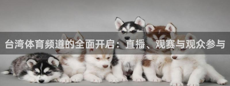 nba直播吧 王者体育：台湾体育频道的全面开启：直播、观赛与观众参与