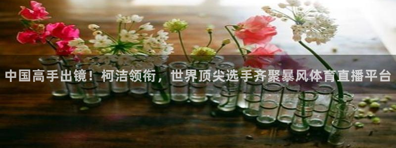 nba体育极速直播吧：中国高手出镜！柯洁领衔，世界顶尖选手齐聚暴风体育直播平台