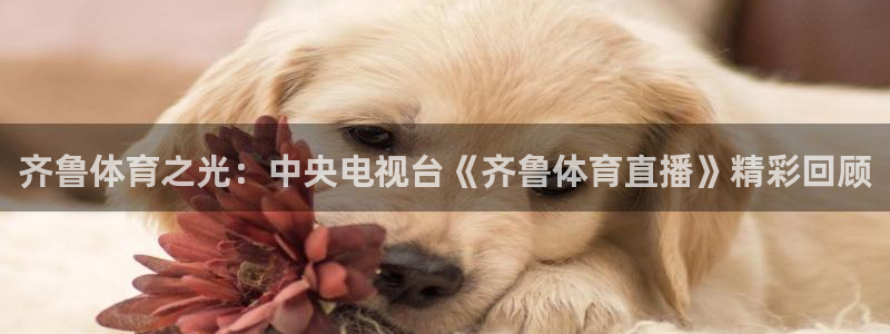 直播吧体育在线观看：齐鲁体育之光：中央电视台《齐鲁体育直播》精彩回顾