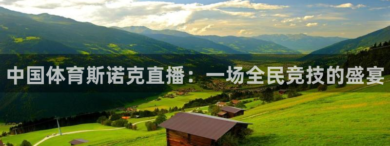 24看球直播吧：中国体育斯诺克直播：一场全民竞技的盛宴