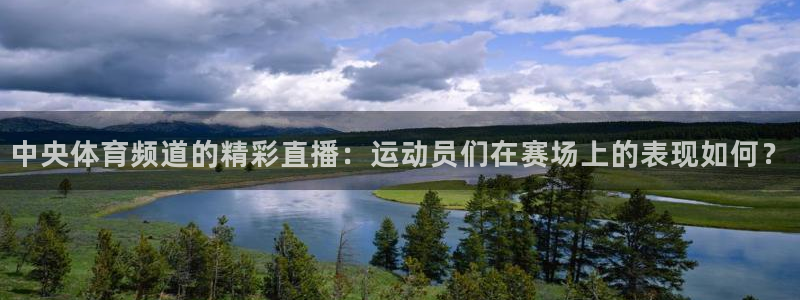 直播吧篮球免费直播：中央体育频道的精彩直播：运动员们在赛场上的表现如何？